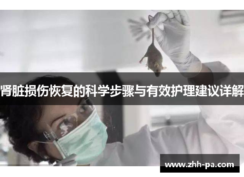 肾脏损伤恢复的科学步骤与有效护理建议详解