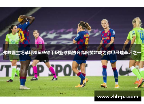 弗赖堡主场草坪质量获德甲职业球员协会高度赞誉成为德甲最佳草坪之一